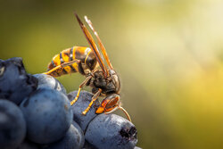 adobestock_1760881481