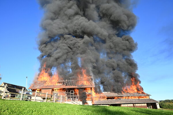 brand-morschil_kapo-2